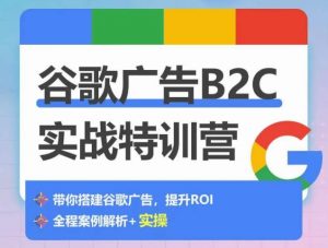谷歌广告B2C实战特训营，500+谷歌账户总结经验，实战演示如何从0-1搭建广告账户-淘金日记
