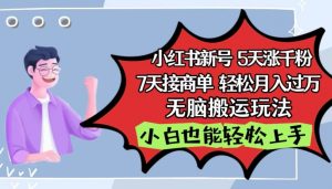 小红书影视泥巴追剧5天涨千粉,7天接商单,轻松月入过万,无脑搬运玩法【揭秘】-淘金日记