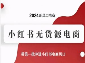 2024新风口电商,小红书无货源电商,带第一批冲进小红书电商风口-淘金日记
