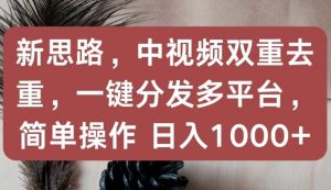 新思路，中视频双重去重，一键分发多平台，简单操作，日入1000+【揭秘】-淘金日记