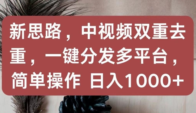新思路，中视频双重去重，一键分发多平台，简单操作，日入1000+【揭秘】-淘金日记