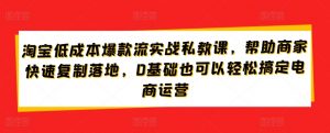 淘宝低成本爆款流实战私教课，帮助商家快速复制落地，0基础也可以轻松搞定电商运营-淘金日记