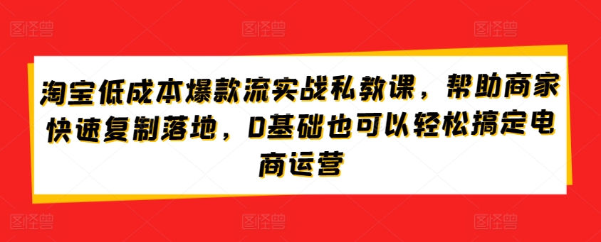 淘宝低成本爆款流实战私教课，帮助商家快速复制落地，0基础也可以轻松搞定电商运营-淘金日记