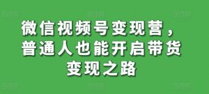 微信视频号变现营,普通人也能开启带货变现之路-淘金日记