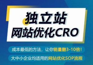 独立站网站优化CRO，成本最低的方法，让你销量翻3-10倍-淘金日记