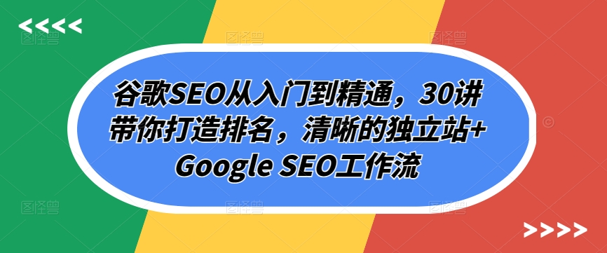 谷歌SEO从入门到精通,30讲带你打造排名,清晰的独立站+Google SEO工作流-淘金日记