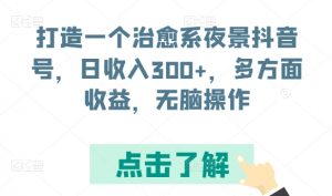 打造一个治愈系夜景抖音号，日收入300+，多方面收益，无脑操作【揭秘】-淘金日记