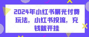2024年小红书聚光付费玩法，小红书投流，充钱就开挂-淘金日记