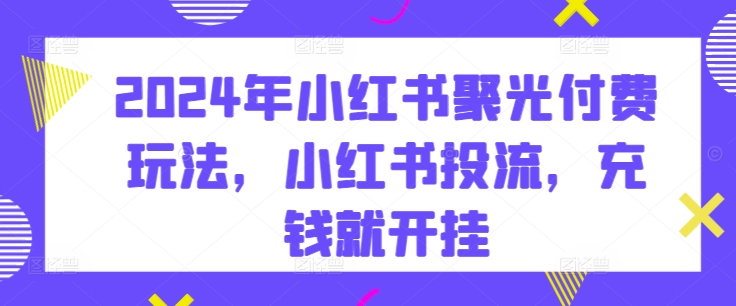 2024年小红书聚光付费玩法,小红书投流,充钱就开挂-淘金日记