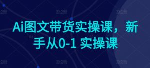Ai图文带货实操课,新手从0-1 实操课-淘金日记