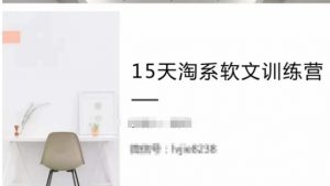 15天淘系软文训练营,跟年入50万的淘系软文导师,学习月收过万的淘系软文-淘金日记