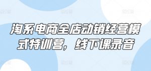 淘系电商全店动销经营模式特训营,线下课录音-淘金日记