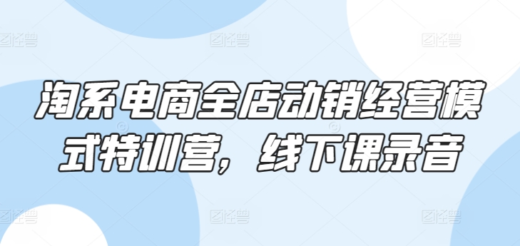 淘系电商全店动销经营模式特训营,线下课录音-淘金日记