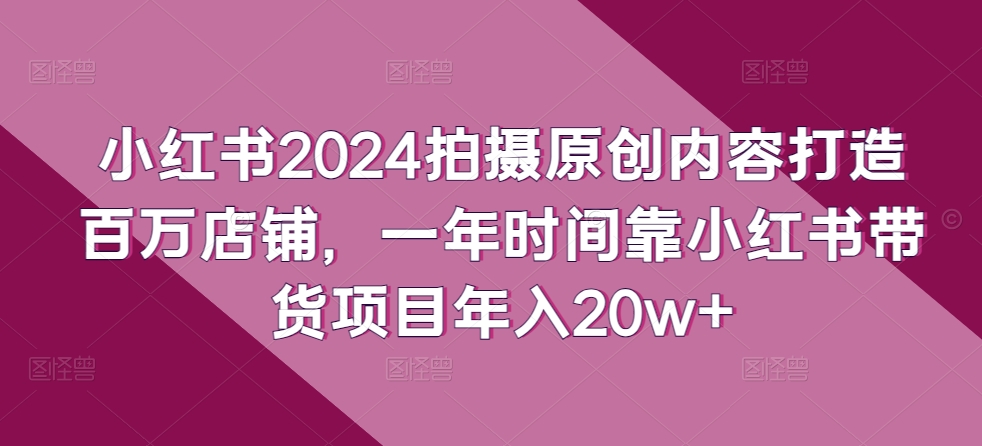 小红书2024拍摄原创内容打造百万店铺,一年时间靠小红书带货项目年入20w+-淘金日记