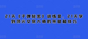 21天《子弹秘密》训练营,21天学到顶尖文案大师的策略和技巧-淘金日记