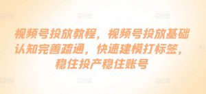 视频号投放教程，​视频号投放基础认知完善疏通，快速建模打标签，稳住投产稳住账号-淘金日记