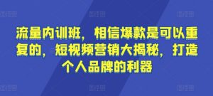 流量内训班,相信爆款是可以重复的,短视频营销大揭秘,打造个人品牌的利器-淘金日记