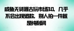 咸鱼无货源古玩市场3.0,几乎不会出现退款,别人拍一件就是纯利润【揭秘】-淘金日记