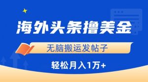 海外头条撸美金，无脑搬运发帖子，月入1万+，小白轻松掌握【揭秘】-淘金日记