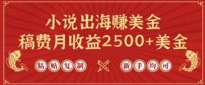 小说出海赚美金,稿费月收益2500+美金,仅需chatgpt粘贴复制,新手也能玩转【揭秘】-淘金日记