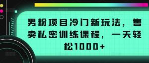 男粉项目冷门新玩法，售卖私密训练课程，一天轻松1000+【揭秘】-淘金日记