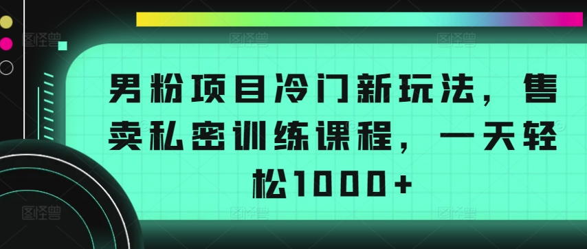 男粉项目冷门新玩法，售卖私密训练课程，一天轻松1000+【揭秘】-淘金日记