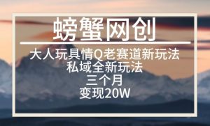 大人玩具情Q用品赛道私域全新玩法,三个月变现20W,老项目新思路【揭秘】-淘金日记