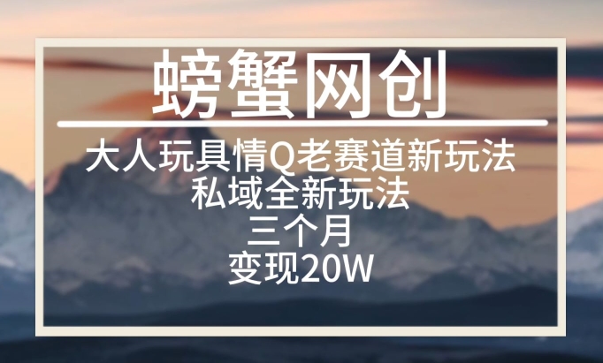 大人玩具情Q用品赛道私域全新玩法,三个月变现20W,老项目新思路【揭秘】-淘金日记