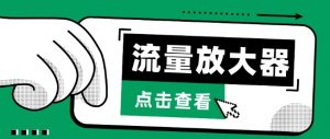 流量放大器,抖音公私域变现+soul私域轰炸器【揭秘】-淘金日记