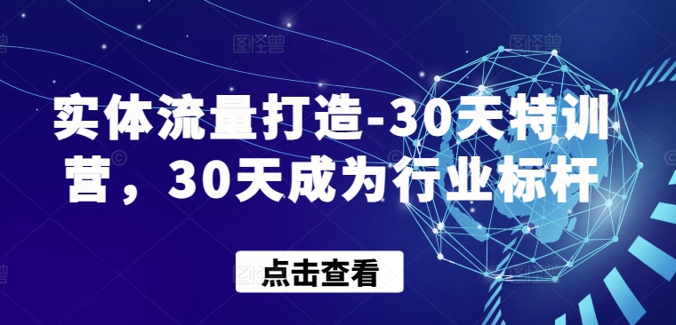 实体流量打造-30天特训营,30天成为行业标杆-淘金日记