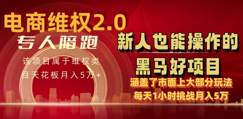 电商维权 4.0 如何做到月入 5 万+每天 1 小时新人也能快速上手【仅揭秘】-淘金日记