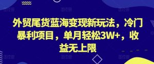 外贸尾货蓝海变现新玩法,冷门暴利项目,单月轻松3W+,收益无上限【揭秘】-淘金日记