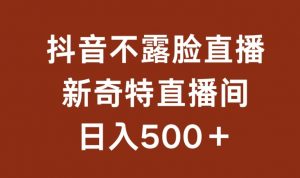 不露脸挂机直播,新奇特直播间,日入500+【揭秘】-淘金日记