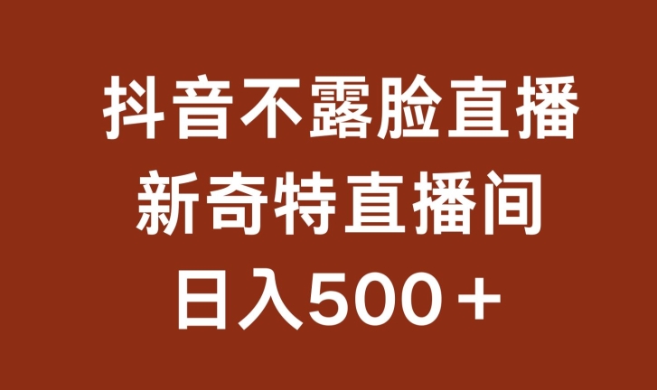 不露脸挂机直播，新奇特直播间，日入500+【揭秘】-淘金日记