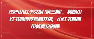 2024小红书文创(第三期),教你小红书如何养号和开店,小红书直播带货卖文创等-淘金日记