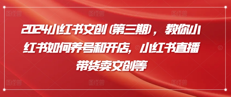 2024小红书文创(第三期),教你小红书如何养号和开店,小红书直播带货卖文创等-淘金日记