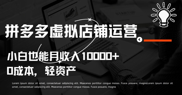 拼多多虚拟店铺运营小白也能月收入10000+【揭秘】-淘金日记