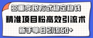 精准项目粉高效引流术，新手单日引流50+，多重变现方式稳定赚钱【揭秘】-淘金日记