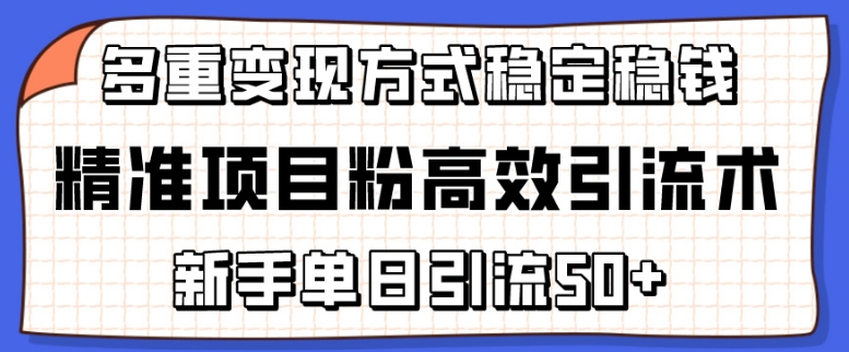 精准项目粉高效引流术,新手单日引流50+,多重变现方式稳定赚钱【揭秘】-淘金日记