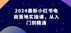 2024最新小红书电商落地实操课,从入门到精通-淘金日记