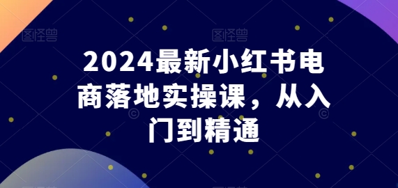 2024最新小红书电商落地实操课,从入门到精通-淘金日记