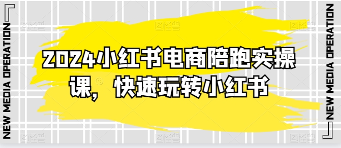 2024小红书电商陪跑实操课,快速玩转小红书,超过20节精细化课程-淘金日记