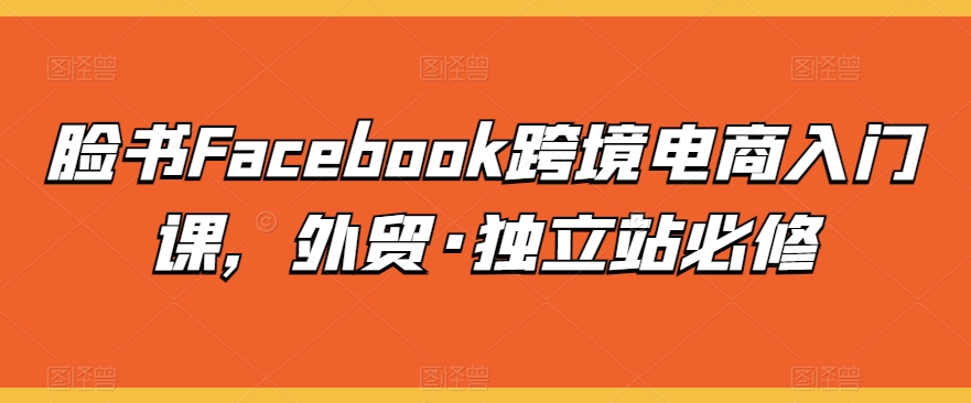 脸书Facebook跨境电商入门课,外贸·独立站必修-淘金日记