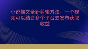 小说推文全新剪辑方法，一个视频可以结合多个平台去发布获取【揭秘】-淘金日记