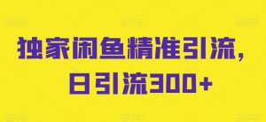 独家闲鱼精准引流,日引流300+【揭秘】-淘金日记