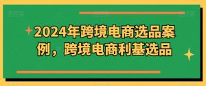 2024年跨境电商选品案例，跨境电商利基选品-淘金日记