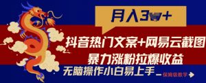抖音热门文案+网易云截图暴力涨粉拉爆收益玩法,小白无脑操作,简单易上手【揭秘】-淘金日记
