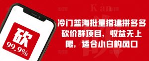 冷门蓝海批量搭建拼多多砍价群项目，收益无上限，适合小白的风口【揭秘】-淘金日记