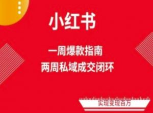 爆款小红书免费流量体系课程(两周变现)，小红书电商教程-淘金日记