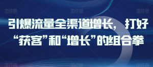 引爆流量全渠道增长,打好“获客”和“增长”的组合拳-淘金日记